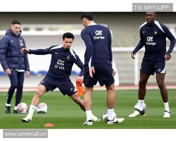 科纳特因伤退出法国队帕瓦尔紧急补招入队